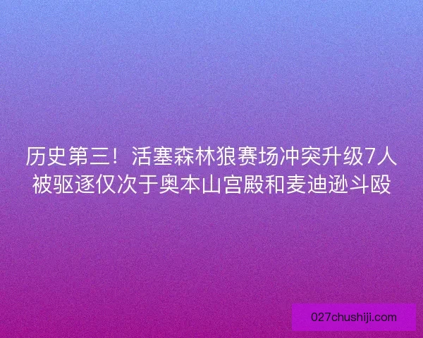 历史第三！活塞森林狼赛场冲突升级7人被驱逐仅次于奥本山宫殿和麦迪逊斗殴